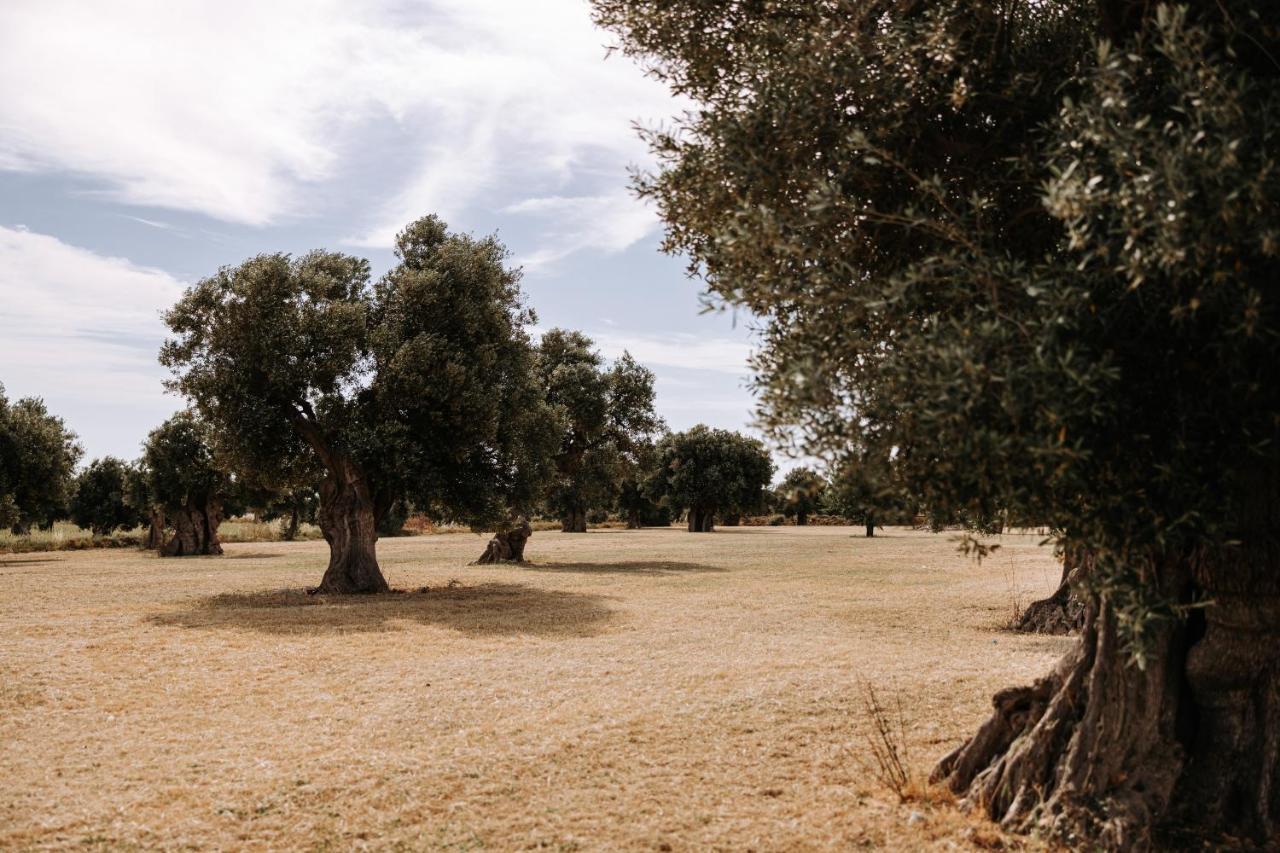 فاسانو Masseria Garrappa المظهر الخارجي الصورة
