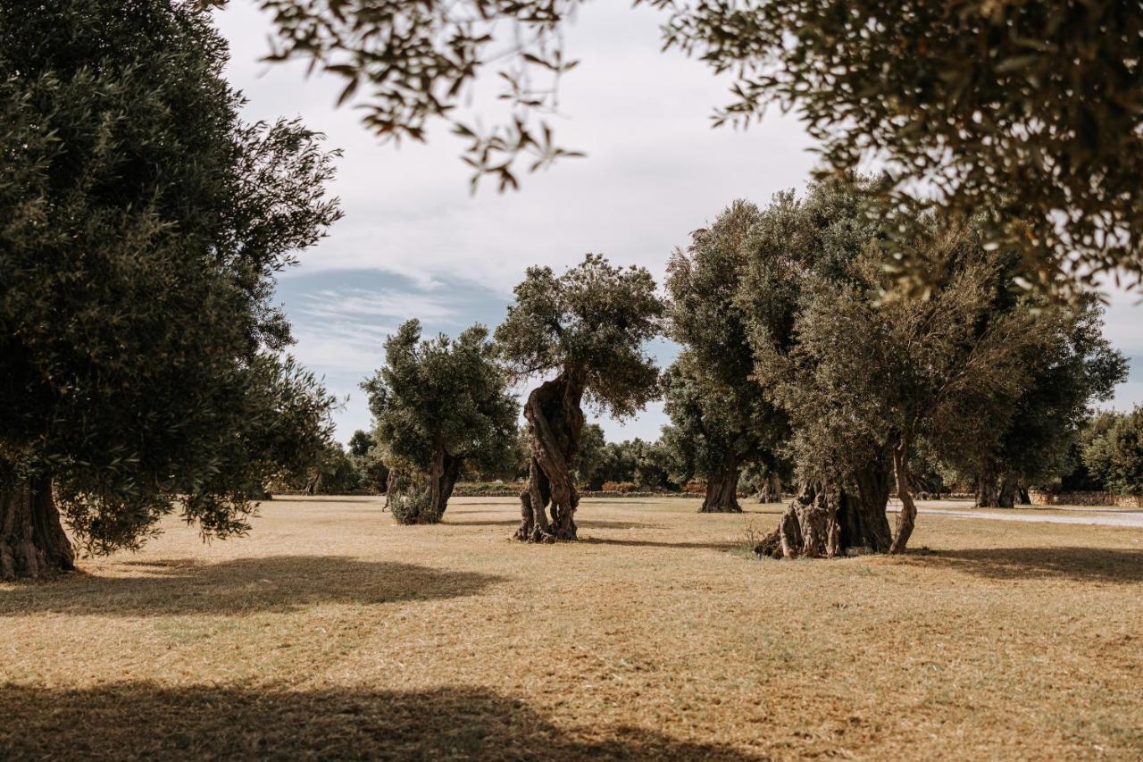فاسانو Masseria Garrappa المظهر الخارجي الصورة