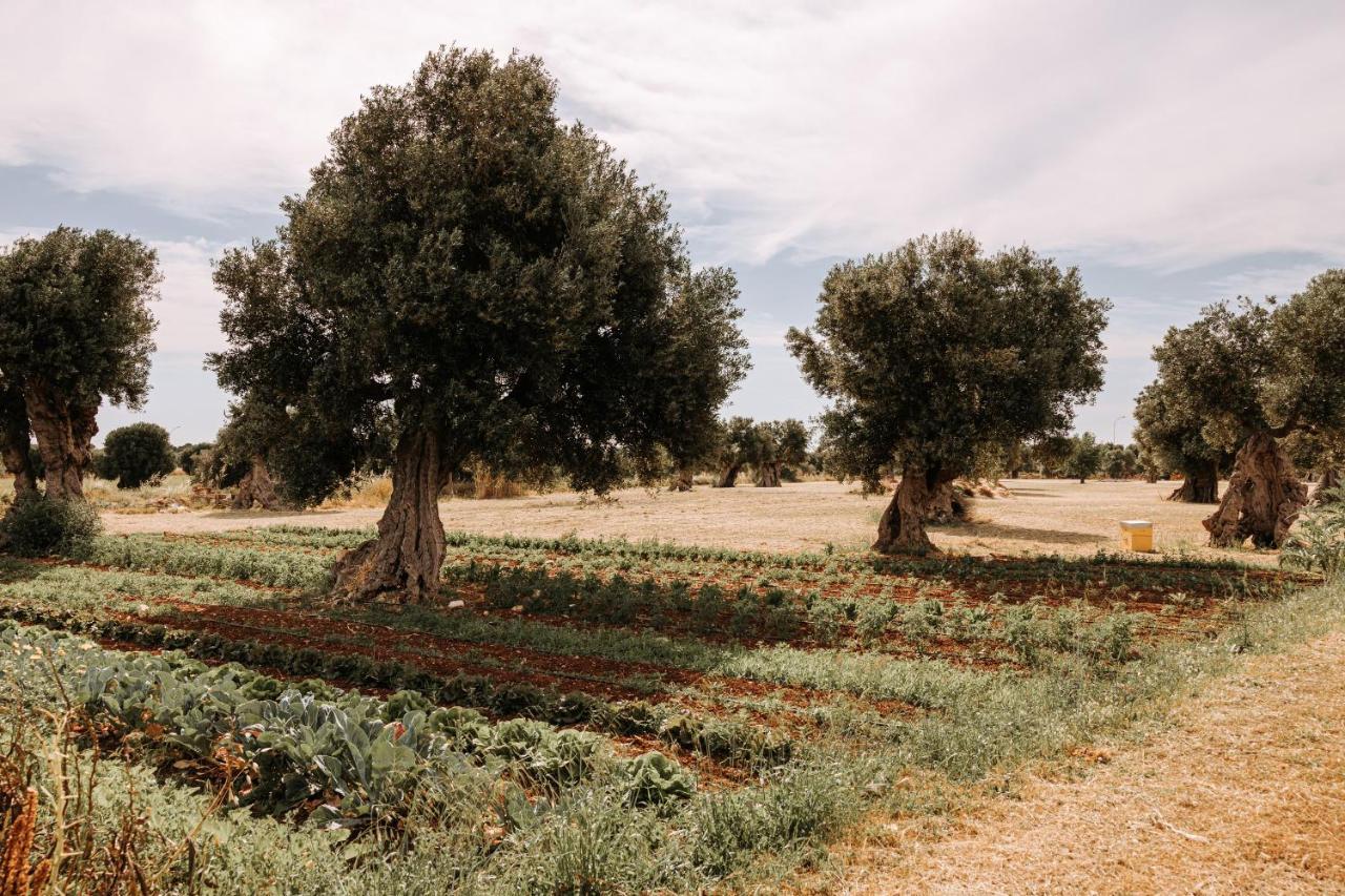 فاسانو Masseria Garrappa المظهر الخارجي الصورة
